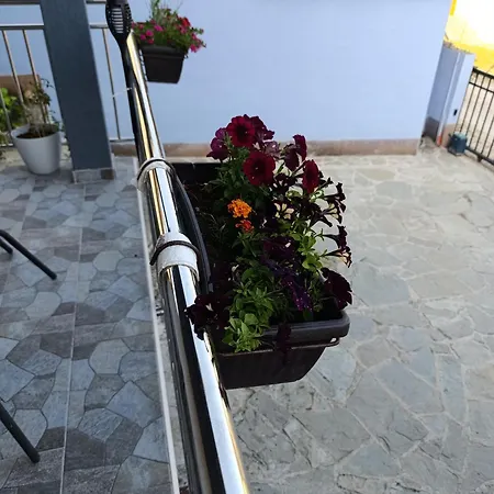 شقة Lavanda يايتشه